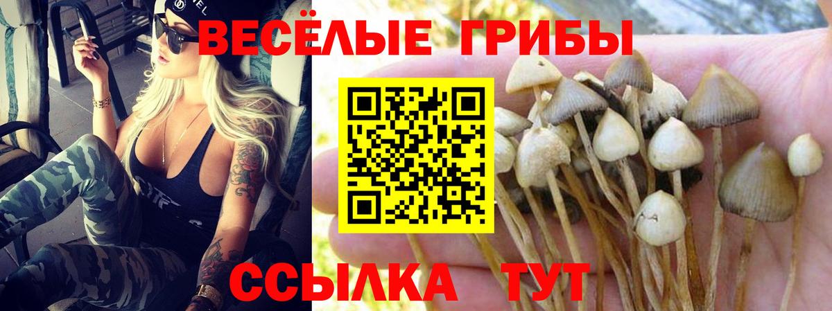 Зеленодольск  Галлюциногенные грибы мухоморы  Вход с VPN 